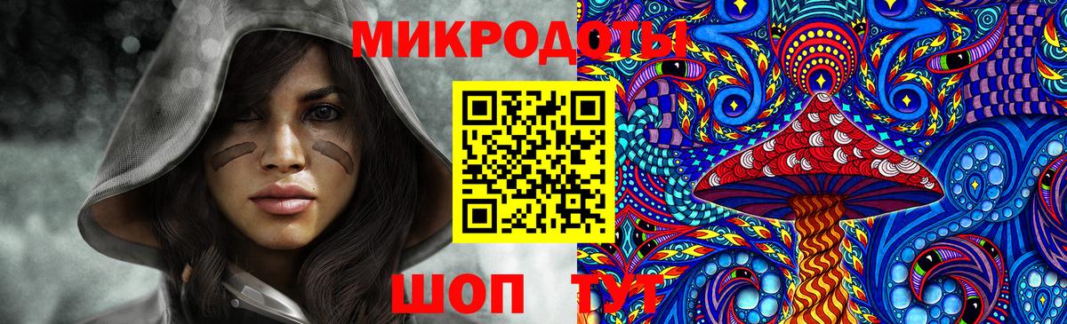 Галлюциногенные грибы MAGIC MUSHROOMS  Псилоцибиновые грибы Psilocybine cubensis  Геленджик  Вход с VPN 